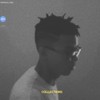 Collections - Elk_Music