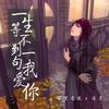 一生等不到一句我爱你 - 极度创式&凌月
