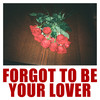 Forgot To Be Your Lover - Vargas & Lagola