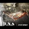 Pale Horse - D.N.S.