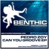 Can You Groove (Original Mix) - Pedro Zoy