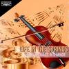 Neon Maniacs in C Minor (Radio Edit) - Life in the Strings