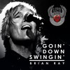 Going Down Swingin' - Brian Ray