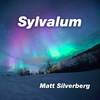 Sylvalum - Matt Silverberg