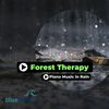 Piano Music In Rain (Original Mix) - Forest Therapy