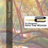 Into The Woods (Rockdown Superstars Remix) - DJ Rabano