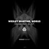 Diamond Dust (Original Mix) - Wesley Martins&Norus