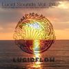 Lucid Sounds, Vol. Twenty Six (Deep Flow DJ Mix) - Mrs. Robot