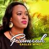 Eagles Wings - Frimeah