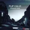 Seven Years - FLIP CALVI