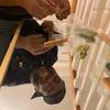 Put Ere' Body On Pk (Explicit) - Its Thurs Bihh