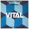 Trampoline (Pedro Delamigo Remix) - Bry.Tic&Kjelwyn Van Houten&Pedro Delamigo