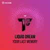 Your Last Memory (Radio Mix) - Liquid Dream