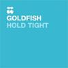 Hold Tight (Ryan Dent Remix) - Goldfish