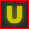 Area 391 (Original Mix) - WaltR Melody