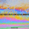 I Could Always (Borussia Remix) - Le Youth&MNDR