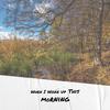 You Never Loved Me - The Monotones/The Pentagons