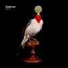 Falling The Same Way (Dommune Version) - Function
