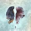 Mahi(feat. Mohamad Hadi)[with Negar 2paMIN] - 2paMIN&Negar 2paMIN&Lupine&Kama&Mohamad Hadi