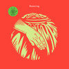 Running (Shed Remix) - Moderat