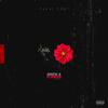 Grew A Flower (Explicit) - J.S.K XXVI