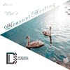 I Don't Have No Home (Original Mix) - Dima Isay