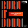 Burn It Down (Crude Intentions Extended Remix) - LNY TNZ