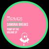 Party Starter - Samurai Breaks