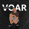 Voar - Damasio