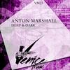 A Journey - Anton Marshall