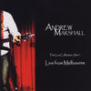 Rainstorm (Live) - Andrew Marshall