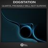 Quarta, Probably Will Not Survive (Original Mix) - DogStation