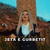 Jeta e gurbetit - Blerina Gashi