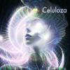 Celuloza - Infinite Sound