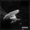 Hammerhead - Fourtwenty Sound