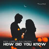 How Did You Know (Vocal Mix) - Indy Lopez&Eva Dinora