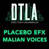 Malian Voices - Placebo eFx