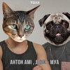 Муа - Антон Ami&JeDiK