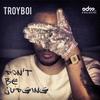 Don't Be Judging - TroyBoi