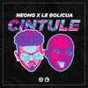 Cintule - NeonG&Le Bolicua