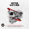 Never Say Die (Contiuous Mix) - Skism&501