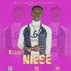 Niese(feat. Nsd) - D.I baby&NSD