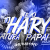 MONTAGEM BEAT GALATICO (Explicit) - DJ HARY ATURA PAPAI&MC BN&Mc Denny