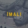 Imali (Explicit) - VenomRaps&Carvo Cardo