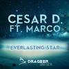 Everlasting Star (Original Mix) - Cesar D&Marco