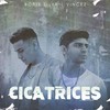 Cicatrices - Boris Silva&Vincez&La Trinidad 333