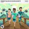 Sunny - Robert Falcon&Raven & Kreyn