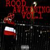 HEAVY METAL(feat. Xava & $coomy) (Explicit) - ROODBOI&XAVA&$coomy