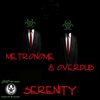 Serenity (Original Mix) - METRONOME&Overdub