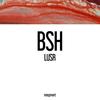 Lusr - BSH